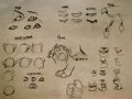 Lion_Features_by_Nalana.jpg